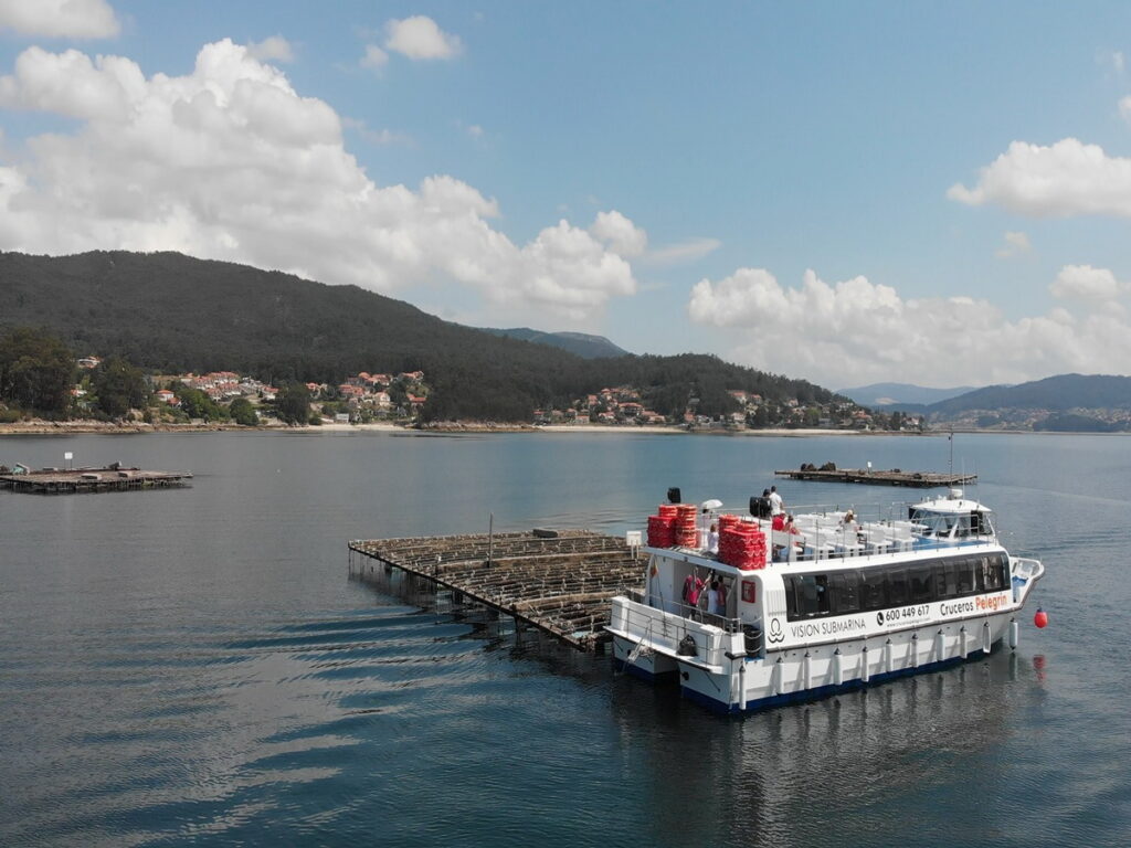 Ruta en barco por las bateas de las Rías Baixas