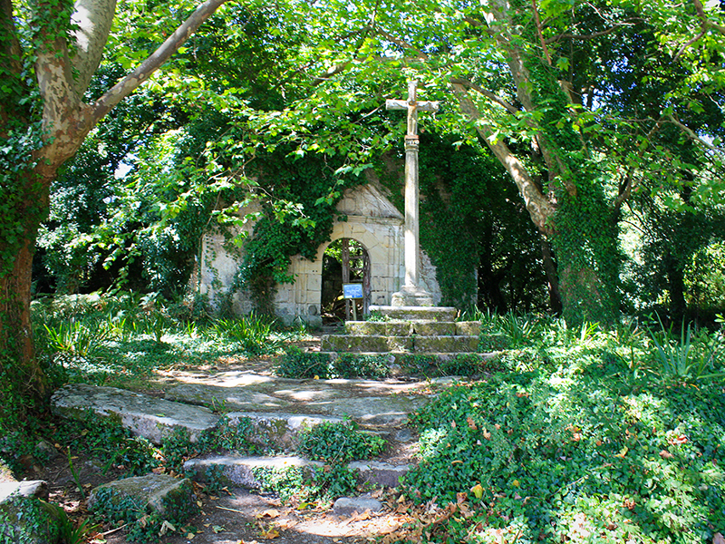 Senderos de la Isla de Cortegada